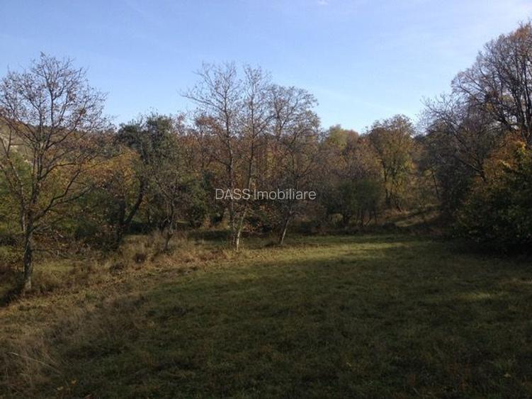 Teren extravilan de vanzare 1.125 mp Două fronturi Zona Gusterita - 3