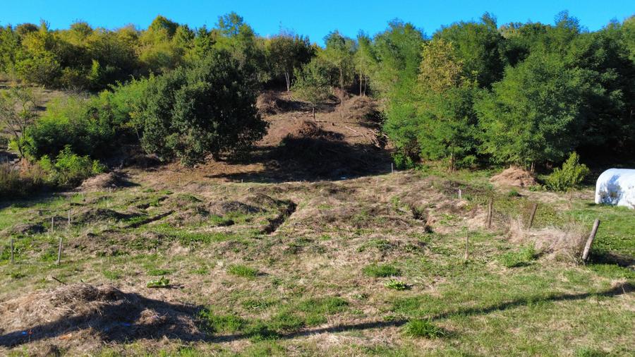 Teren langa padure | domeniu rezidential | actele la zi - de vanzare