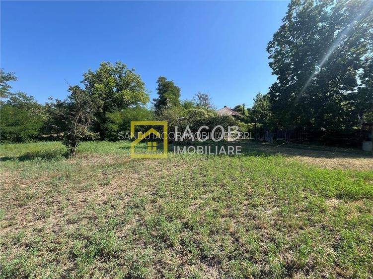 Teren 1541 mp sat comuna Buhoci str Prunului jud Bacau - 11