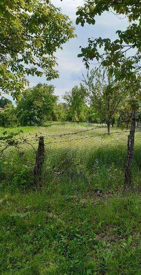 Stefanesti Vanzare teren  lot 2000mp(120eur/mp)- lot 600mp (80eur/mp)