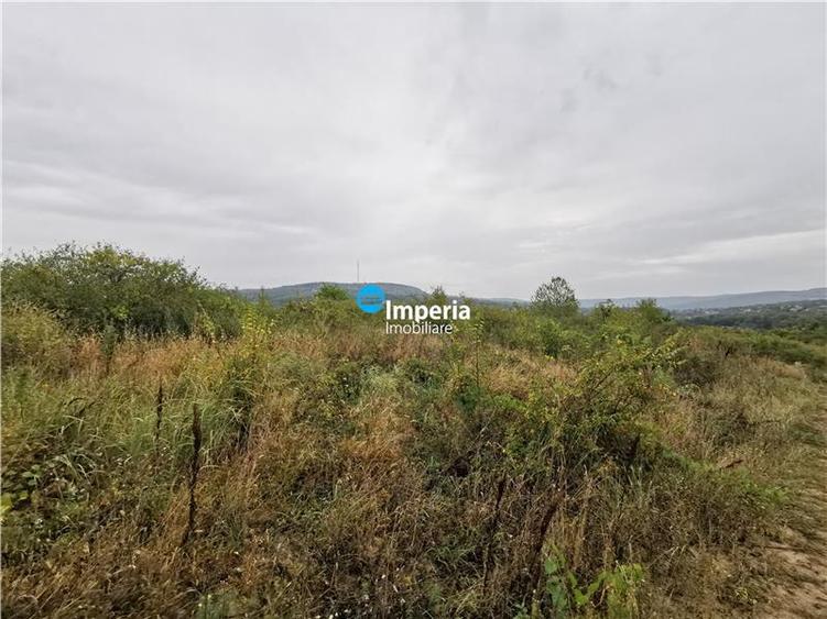 Teren intravilan de vanzare Visan 6380 mp