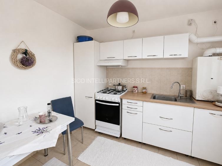 Apartament 2 Cam cu Terasă Metrou Republica - 8