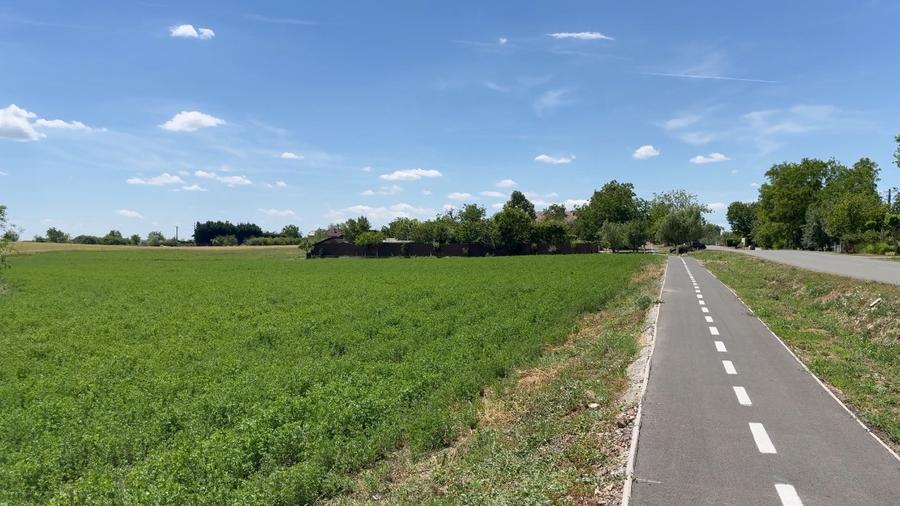 Teren intravilan Zadareni-Bodrogul Nou 8000mp 141m front - Soseaua principala