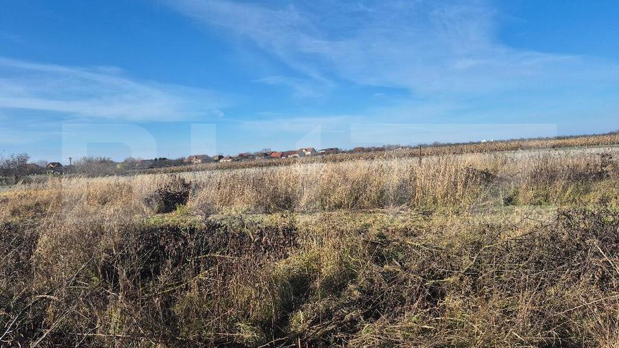 Teren intravilan de vanzare, 1000 mp, in Odoreu - 2