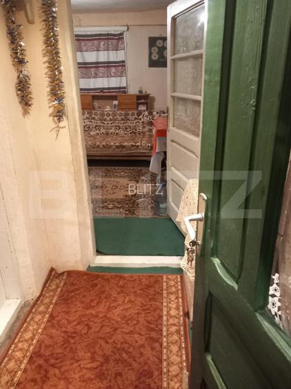 Gura Foii Casă individuală 48 mp 2.000mp teren +2800mp teren padure - 9