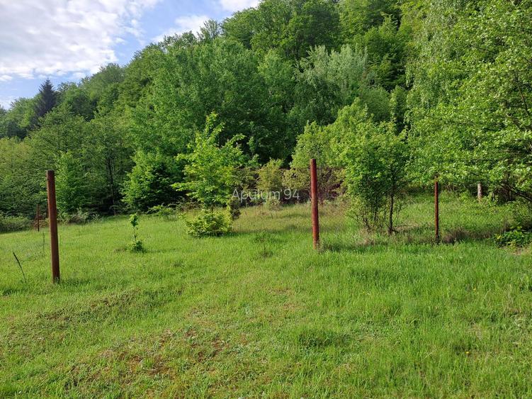 teren de vz in Berevoiesti / AG ( zona Pastravaria Rausor) - 4