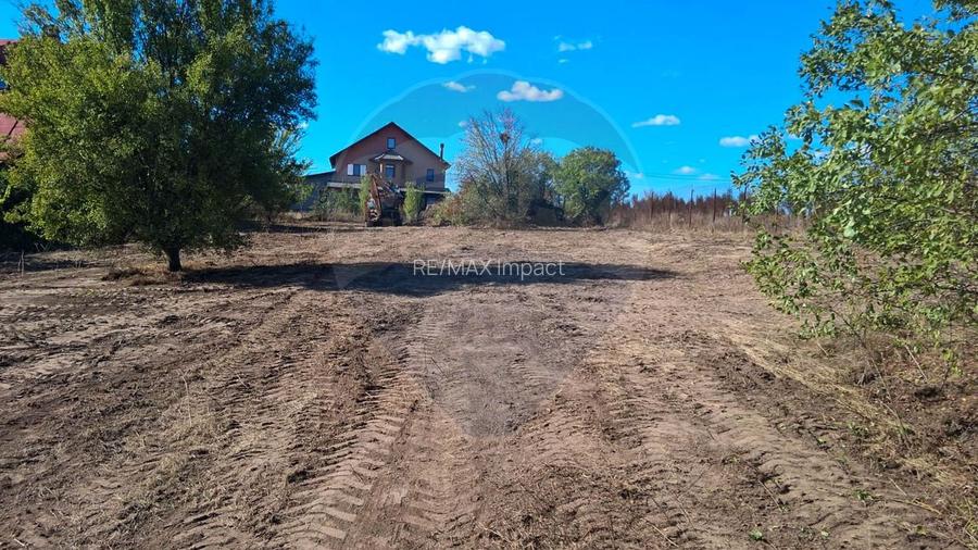 Teren Intravilan de vanzare 3778 mp Branesti Strada Violetelor - 6