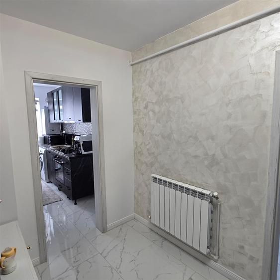 Alexandru - Chimicale - 2 camere - renovat- modern - mobilat - geam baie
