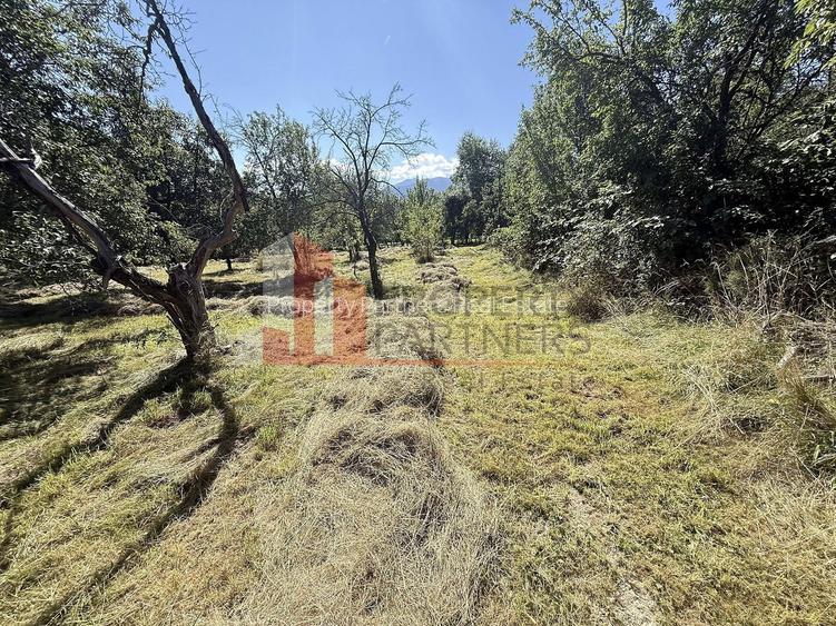 Teren 4558 mp cu casă tradițională, Sohodol, Bran - 10