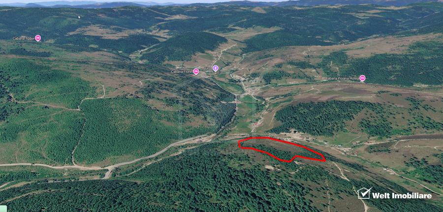 Eco Retreat Land in Apuseni Romania - Poiana Horea