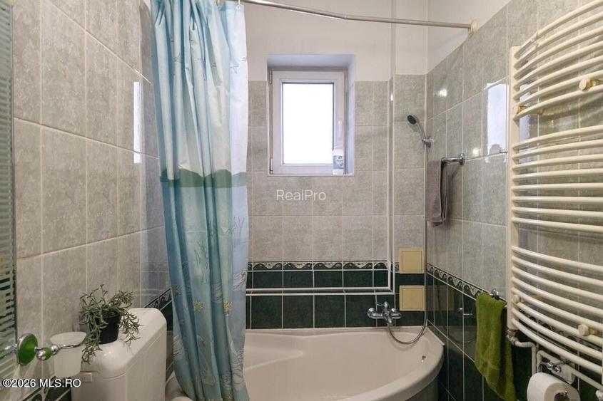Lunei - Ion Neculce, 2 Apartamente. Mansarda 157 mp. Anexe, Lot 475 mp - 31