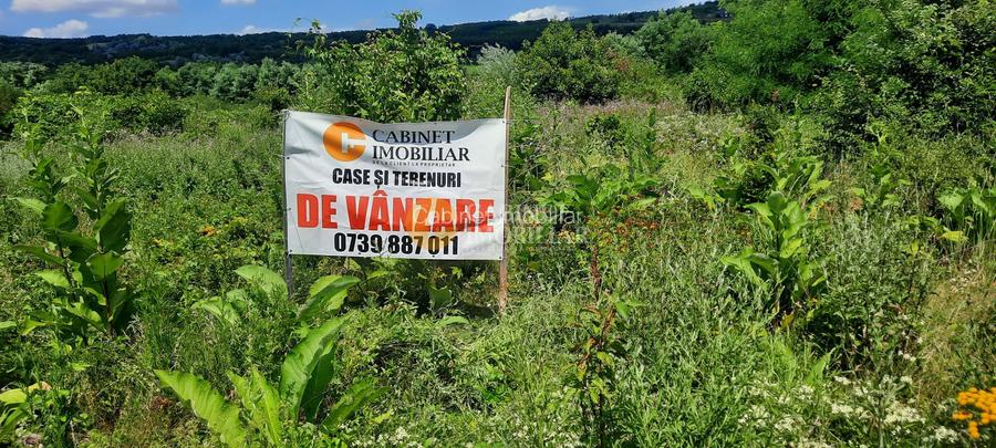🌳 🌞🌿 TEREN INTRAVILAN  2800 mp - 30 Euro/mp  - RATE LA  NOTARIAT  ! 🌳🌞🌿 - 3