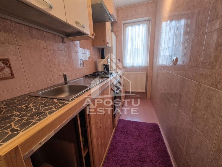 Apartament cu 2 camere de vanzare, Peciu Nou, Judet Timis