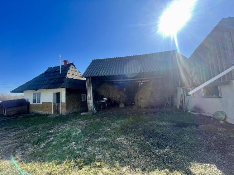 CASA RENOVATA + TEREN 3100 MP | CURTE SI GRADINA | FRATAUTII NOI