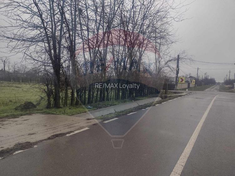 Teren intravilan 2.205 mp – dublă deschidere, utilități, parcelabil - 12