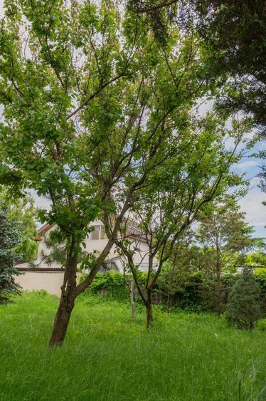 Constanta Sud (Lazu), vila P+1, 5 camere, renovata 2026