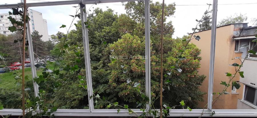 Apartament 2 camere, cart. Gheorghehi, et 4/4. - 12