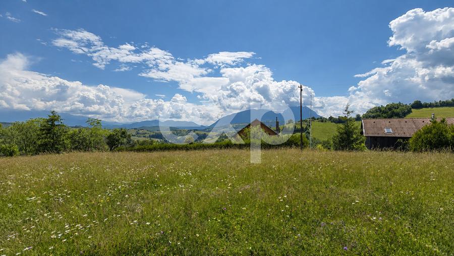 8.544 mp în Poiana Mărului | Teren cu potențial, la doar 1 km de asfalt