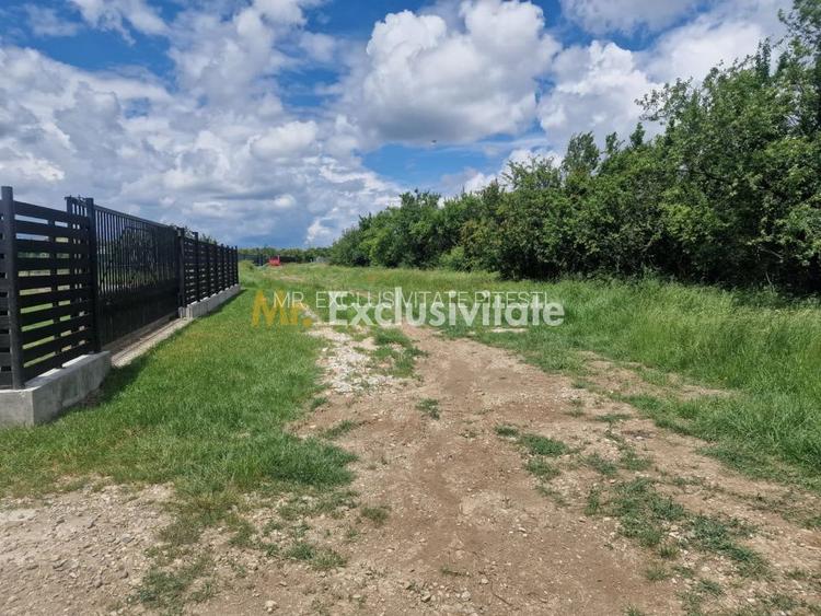 0% Comision!!! Teren intravilan Smeura - str Prunilor! - 4