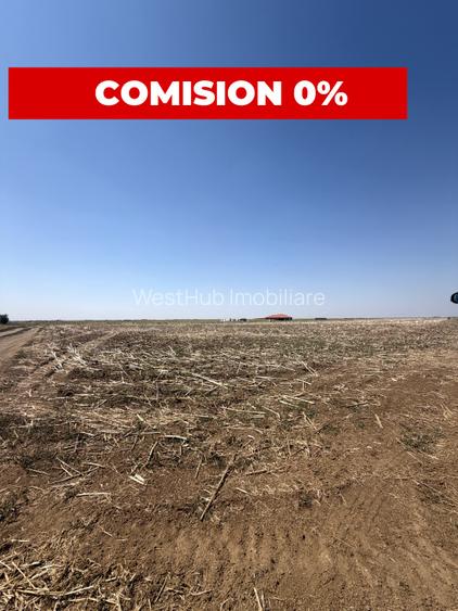 Teren Intravilan, diverse parcele, minim 750mp teren-Sanandrei - 2