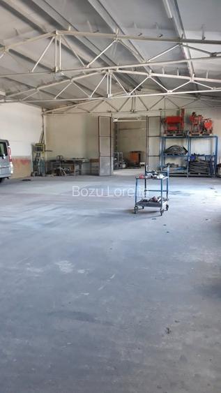 Hala cu dotari, afacere cu clienti, birouri-vestiare, teren, E60, langa Oradea - 8