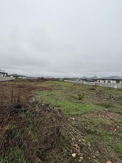 Corbeanca-Tamasi Oportunitate excelenta pentru dezvoltare rezidentiala