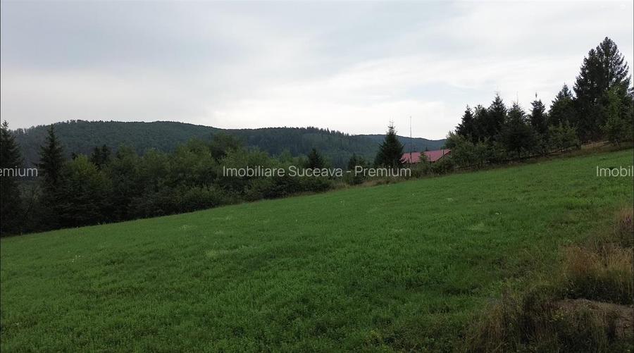 Teren 5023 mp  In Bucovina Zona Manastirea Voronet De Vanzare 0727817187 - 16