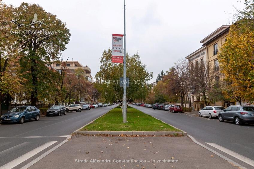 Domenii - Spatiu birouri in vila, cu garaj, 4 locuri de parcare, curte - 18