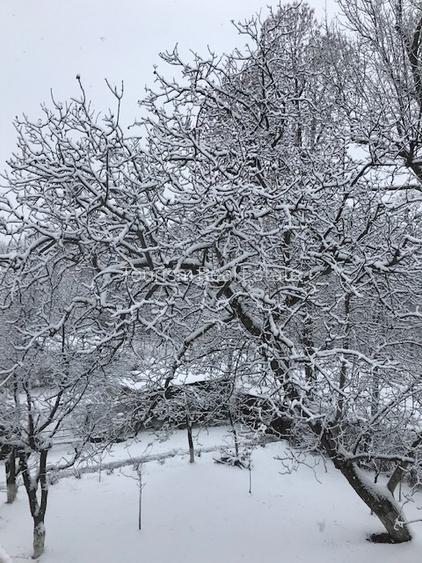 Casa superba Parcul Subarini - 42