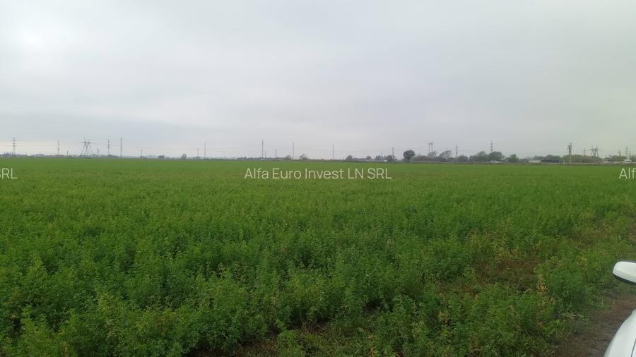 Teren intravilan 500mp in Brasov - 7