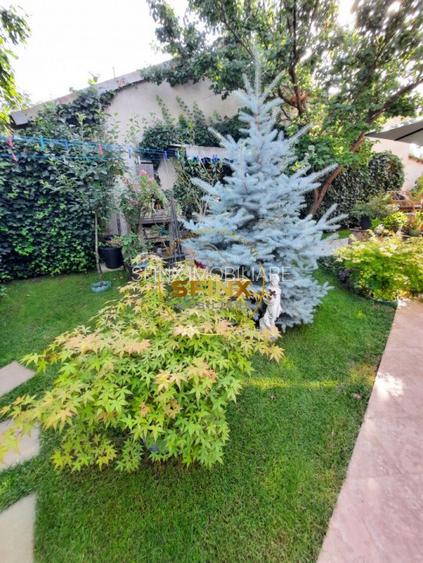 Vila individuala moderna 5 camere, supr 182 mp, 2019, 316 mp teren - 37