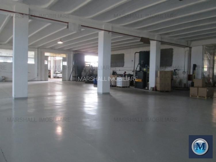 Spatiu industrial de inchiriat in Filipestii de Targ, 2500 mp #12438 - 4
