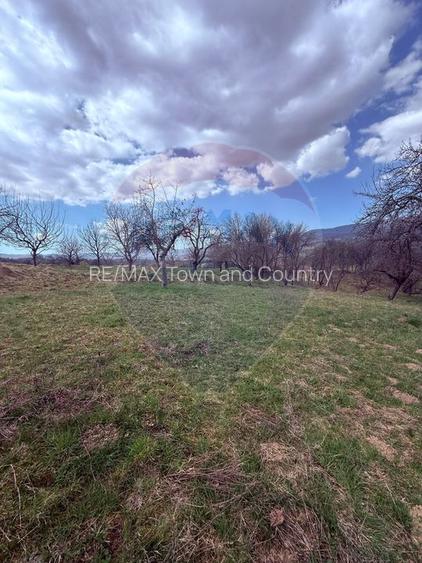 Teren 6,377mp Harnicesti / Strada Principala - 3