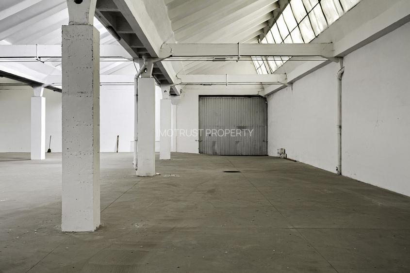 Hala Industriala de inchiriat 1.174 mp cu rampa egalizatoare, Arad - 7