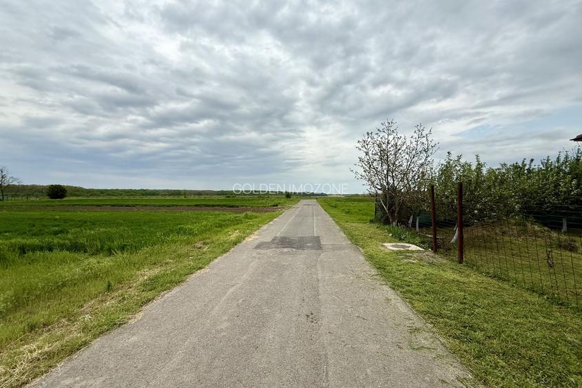 Teren intravilan de 1000 mp în Grădiștea, Ilfov – ideal pentru casa ta - 5