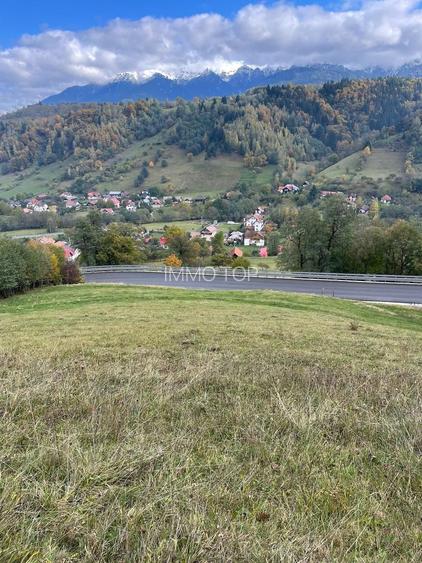 Teren extravilan cu priveliste catre Bucegi – Moieciu de Jos 4.700 mp - 10