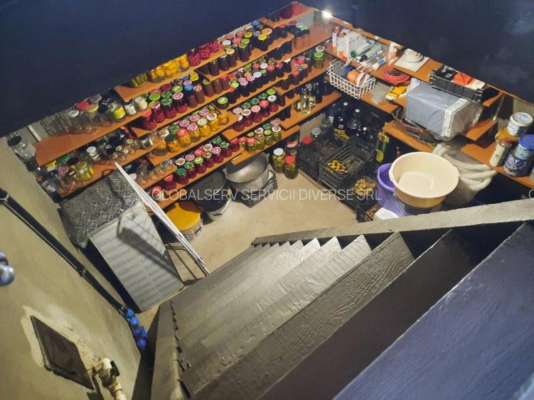 FARA COMISION casa 4 camere 2 bucatarii 2 puturi beci livada 1500mp SAU 3300mp - 21