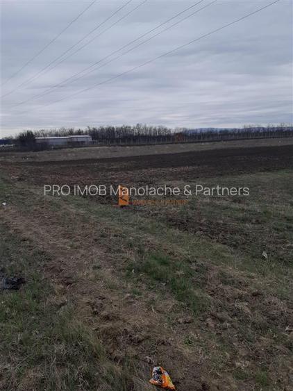 Teren intravilan 5000 mp  zona Autorola/E85/ Autostrada A7 - 3