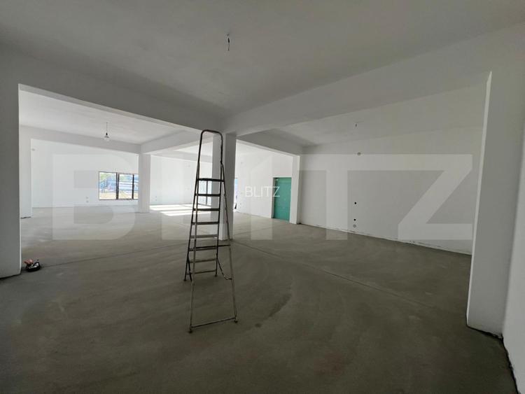 Showroom/Hala 200 mp + teren 1.000 mp - 4