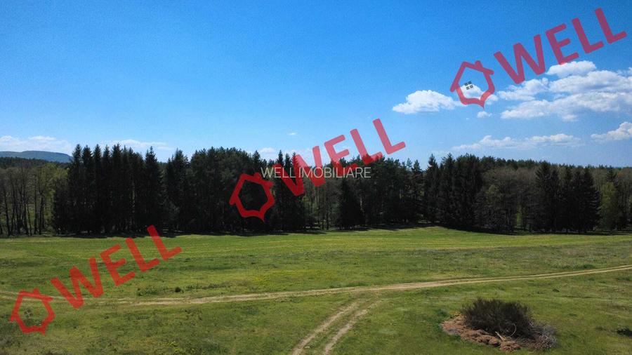 De vânzare teren extravilan în Reci! - 9