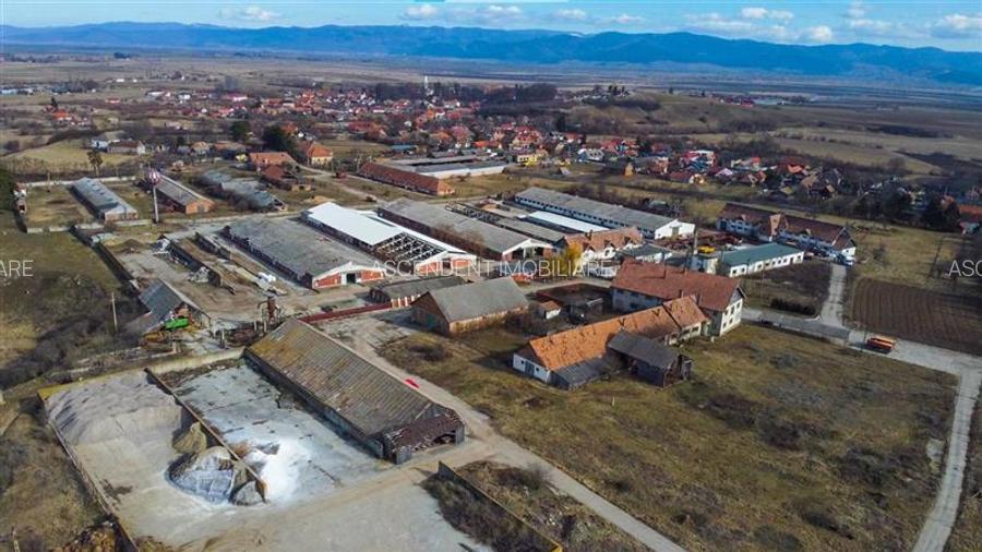 FILM! +25.400mp teren+Complex agrozootehnic cu traditie, accesorizat+ potential - 14