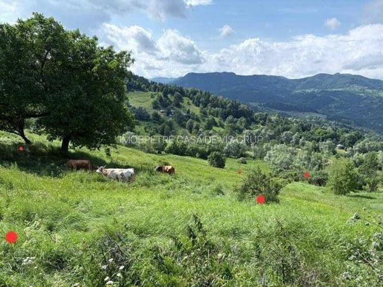 Buzau Teren de vanzare La Bisoca aproape de strada - 3