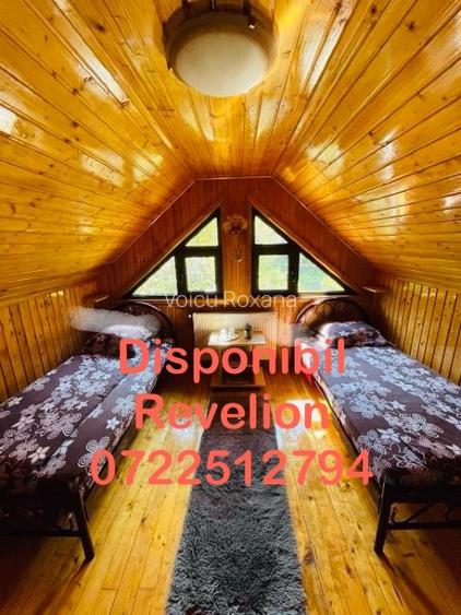 Pensiune de vânzare munte Dambovicioara  - 3