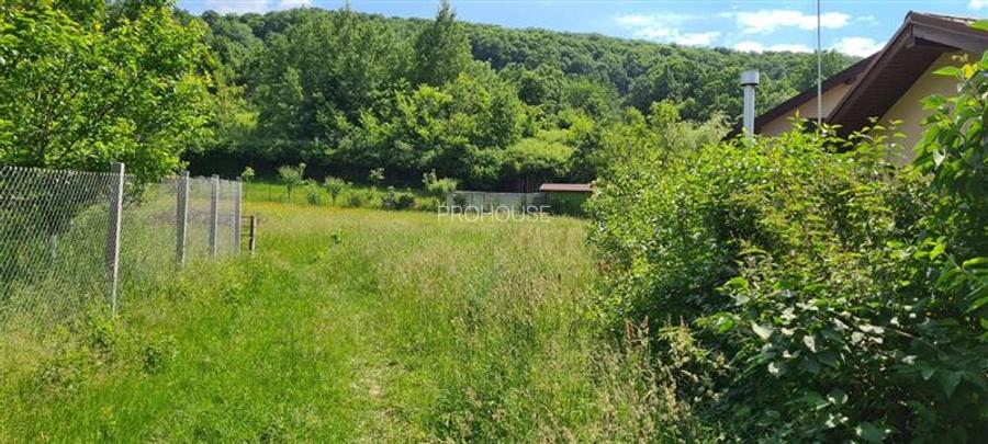 Teren 2033 mp- langa padure-  Margineni- Podis Dubas - 3