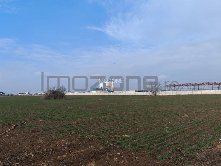 Dragomiresti Valea - Langa Centura, teren 15.600 mp, 35E/mp - 5