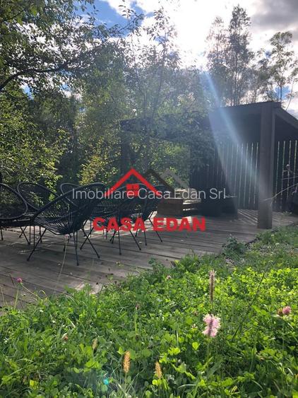 Teren extravilan in Brebu(Pietriceaua)--9104mp--50.000e - 2