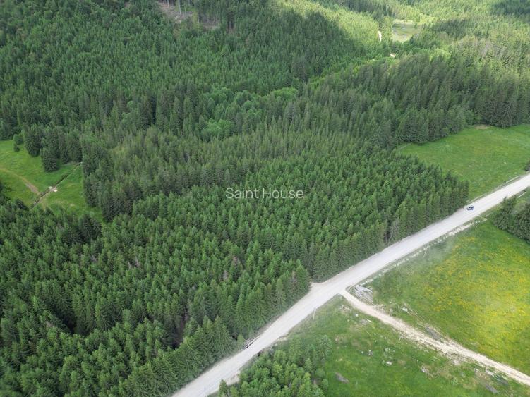 Teren extravilan 5000 MP Comandau - 3