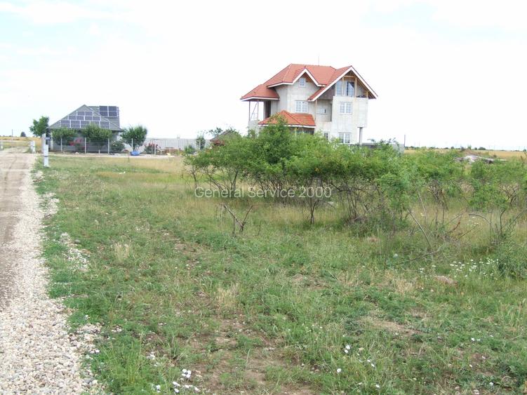 Domnesti-Afinului, teren  4394 mp - 7