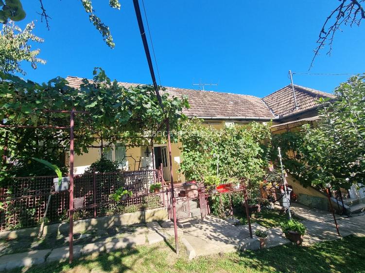 Casa 4 camere + teren 7500 mp - 16