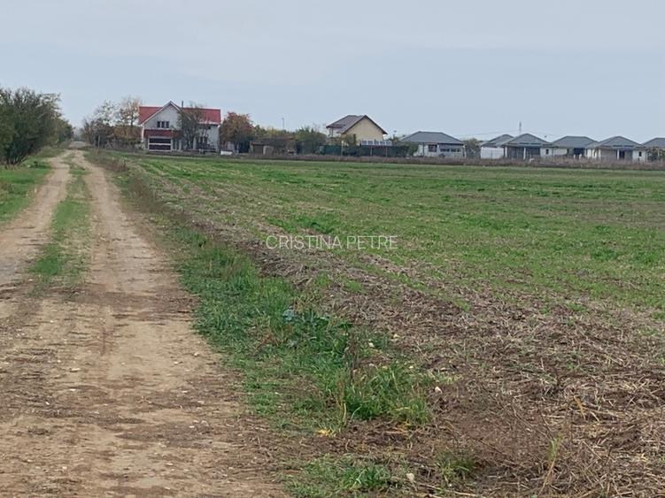 Teren Sabareni linga padure 10 minute pina in Bucuresti - 9